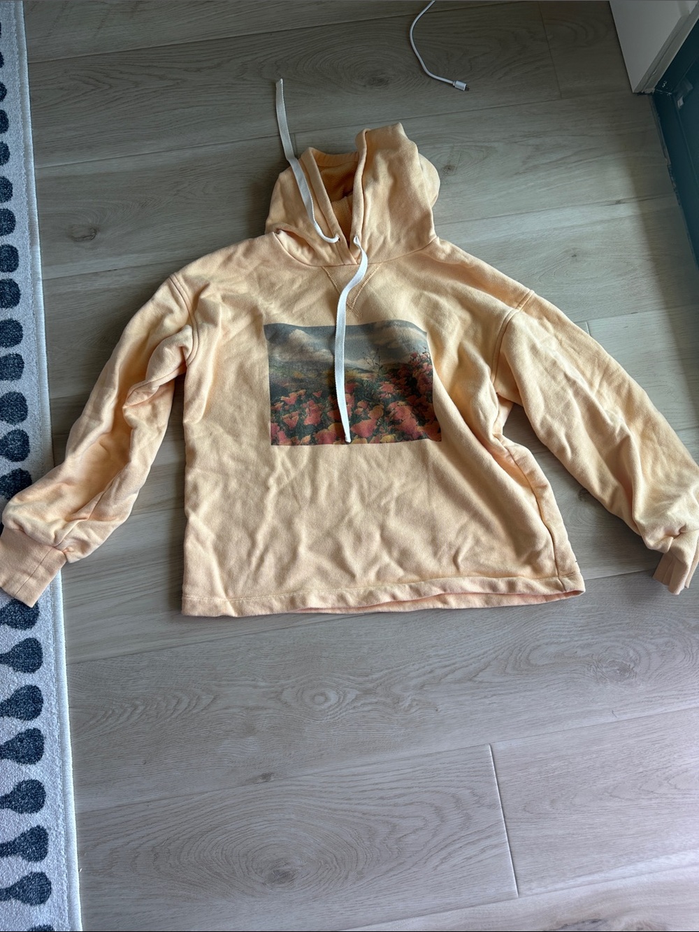 Madewell Peach Graphic Hoodie